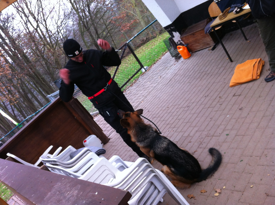 sonntagstraining_2_20141204_1589250255.jpg