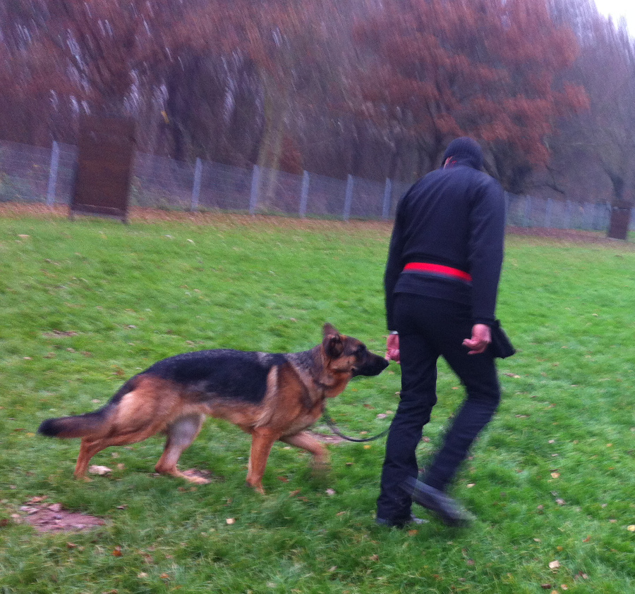 sonntagstraining_3_20141204_1001133250.jpg