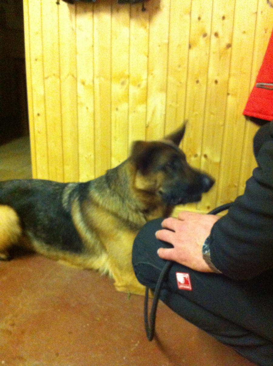 sonntagstraining_4_20141204_1063443714.jpg