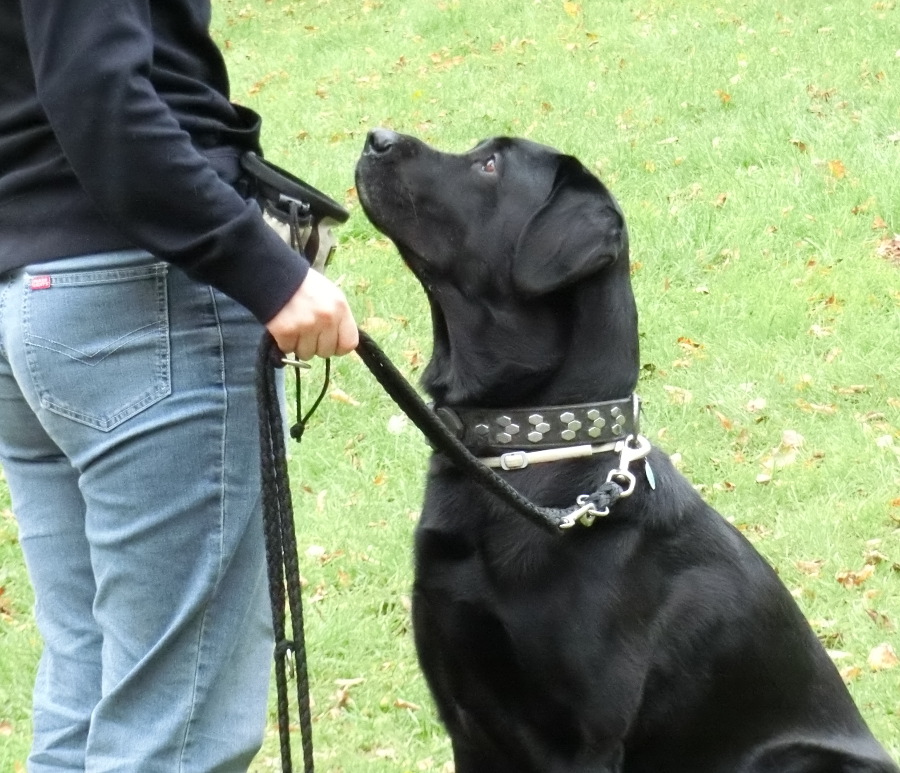 sonntagstraining_5_20141027_1407585846.jpg