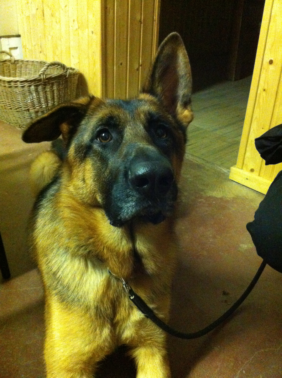 sonntagstraining_5_20141204_1506626769.jpg