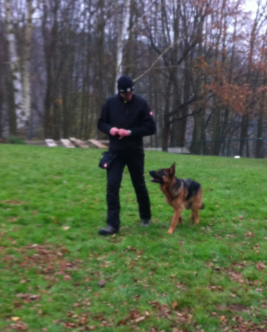 sonntagstraining_7_20141204_1326756006.jpg